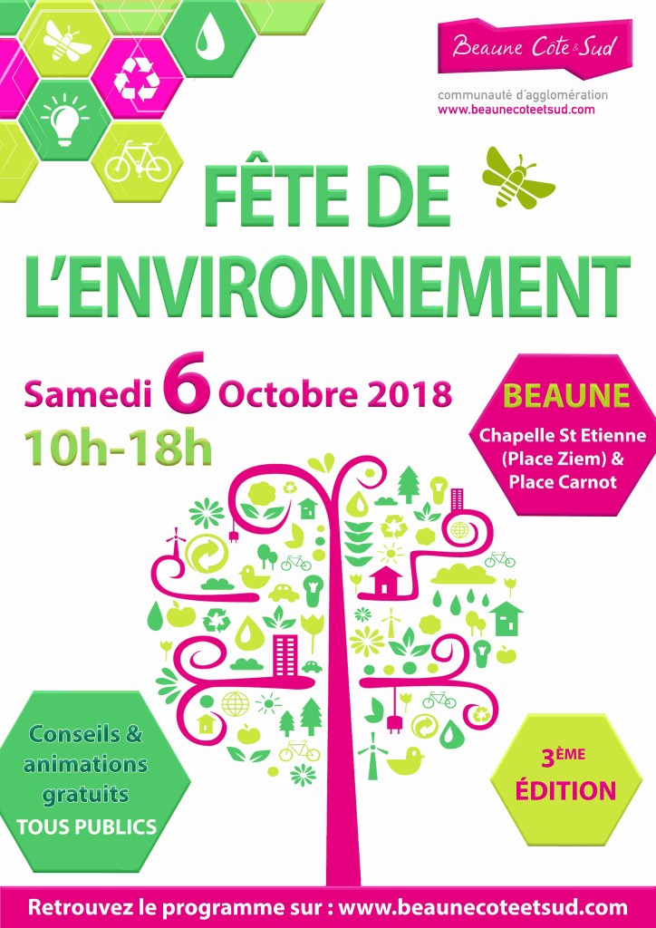 Affiche fête de l'env web